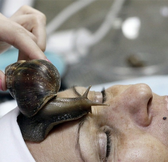 Slimy Snail Massage: The Latest Beauty Fad