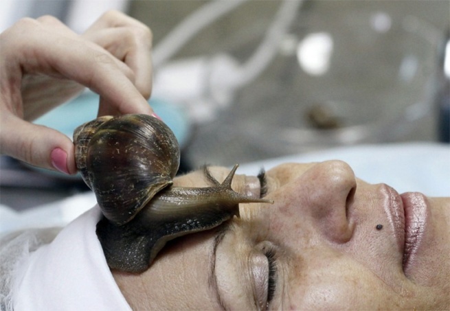 Snail Massage